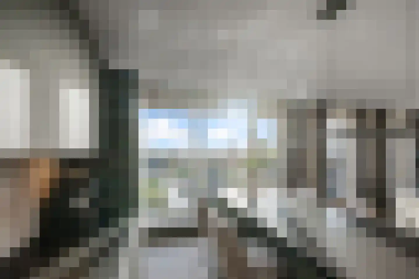 Mahoniehout 436 Zaandam thumbnail 11