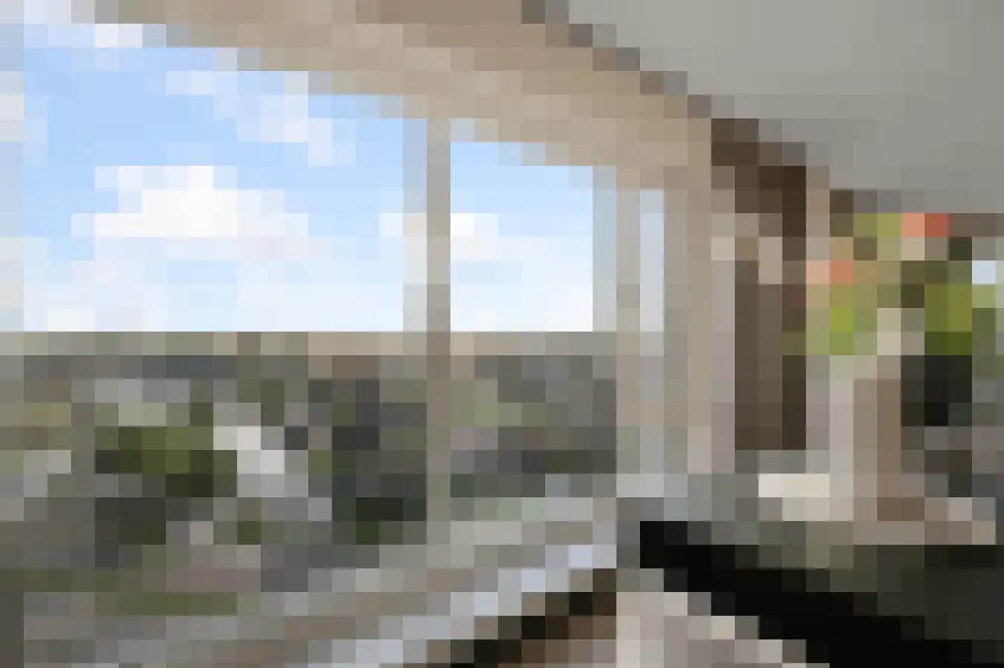 Mahoniehout 436 Zaandam thumbnail 14