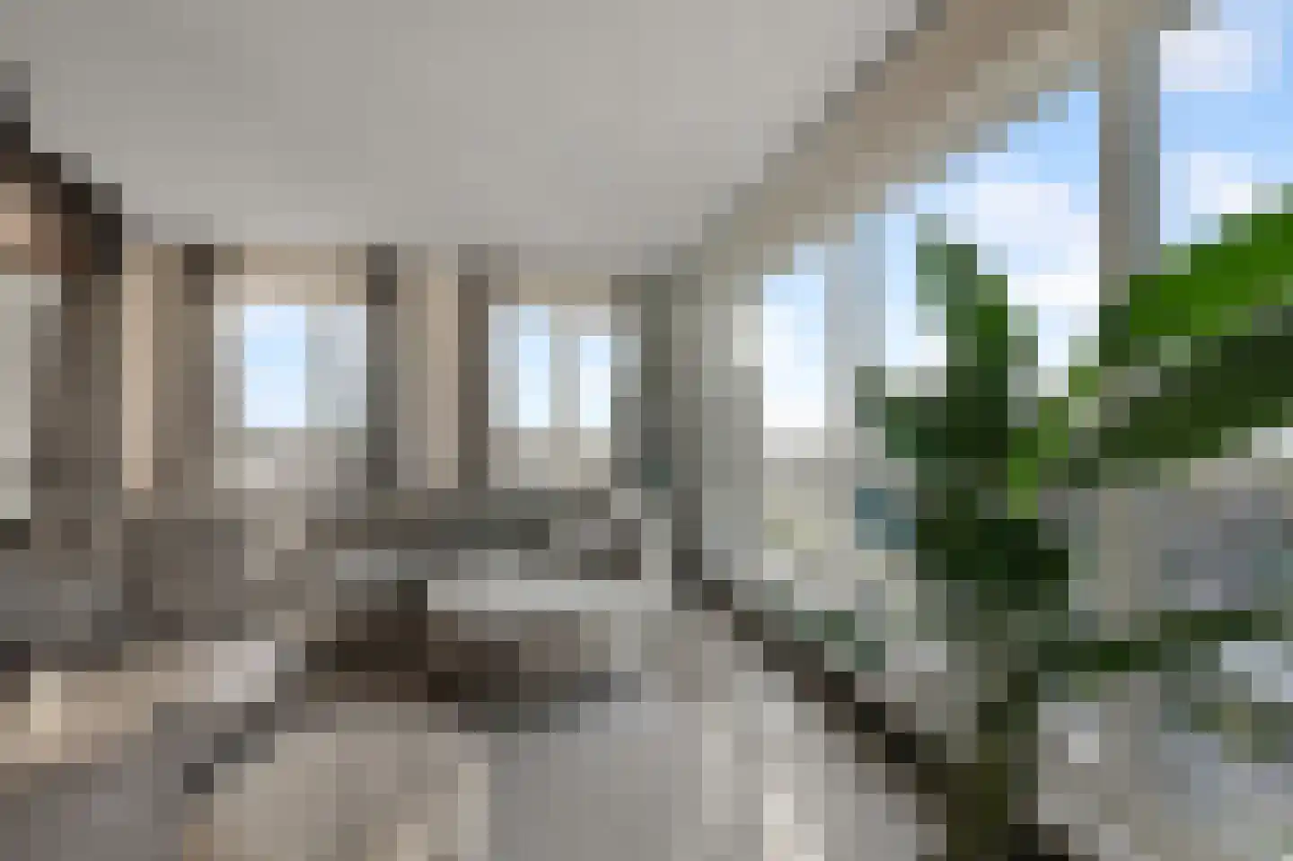 Mahoniehout 436 Zaandam thumbnail 23