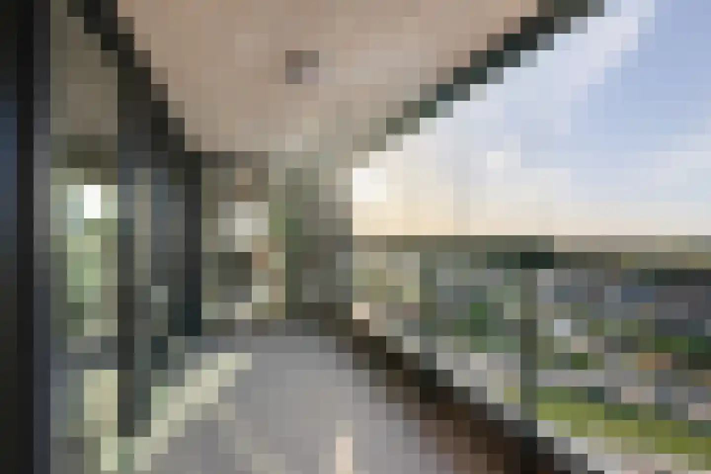 Mahoniehout 436 Zaandam thumbnail 26