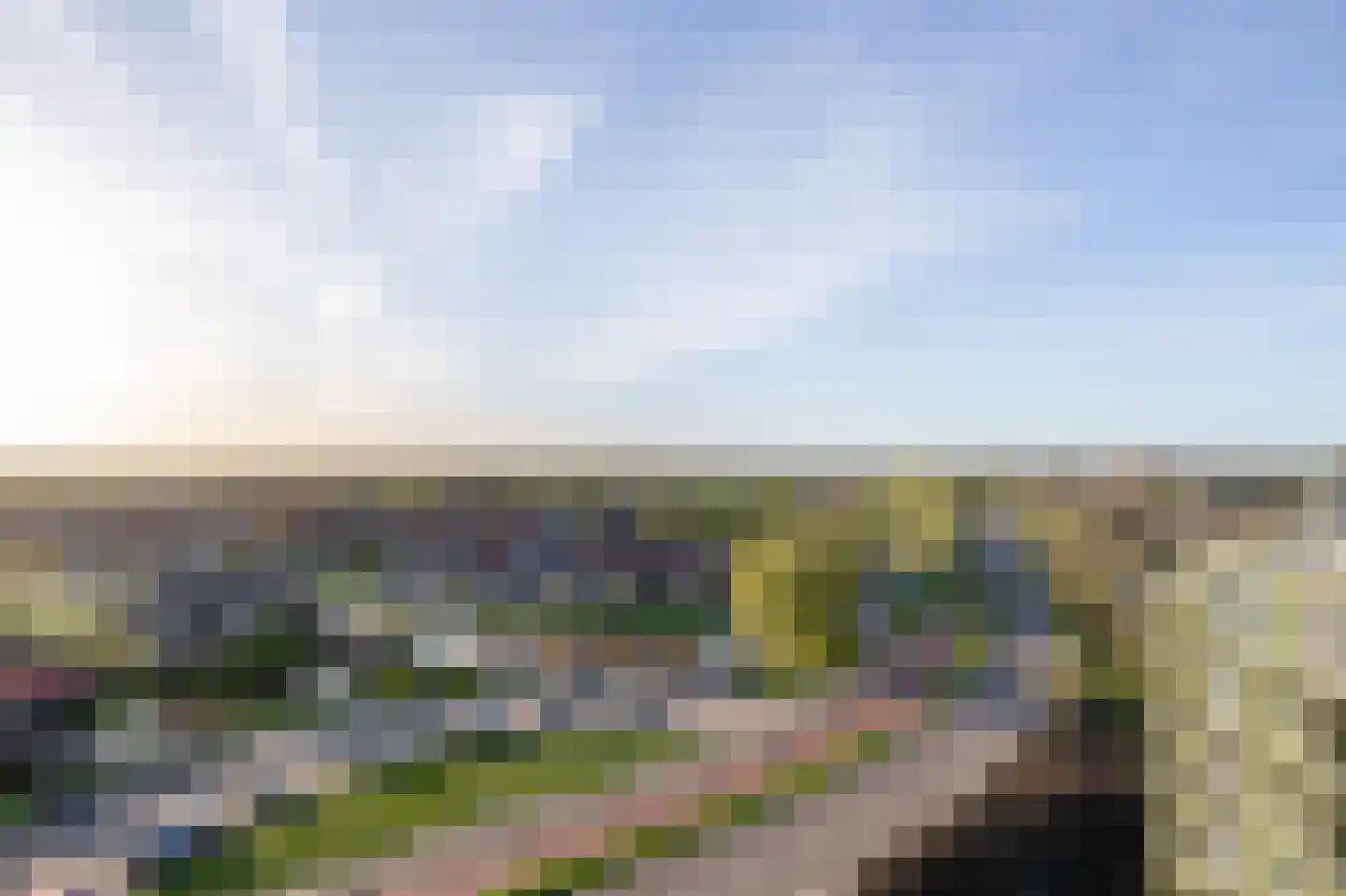 Mahoniehout 436 Zaandam thumbnail 30