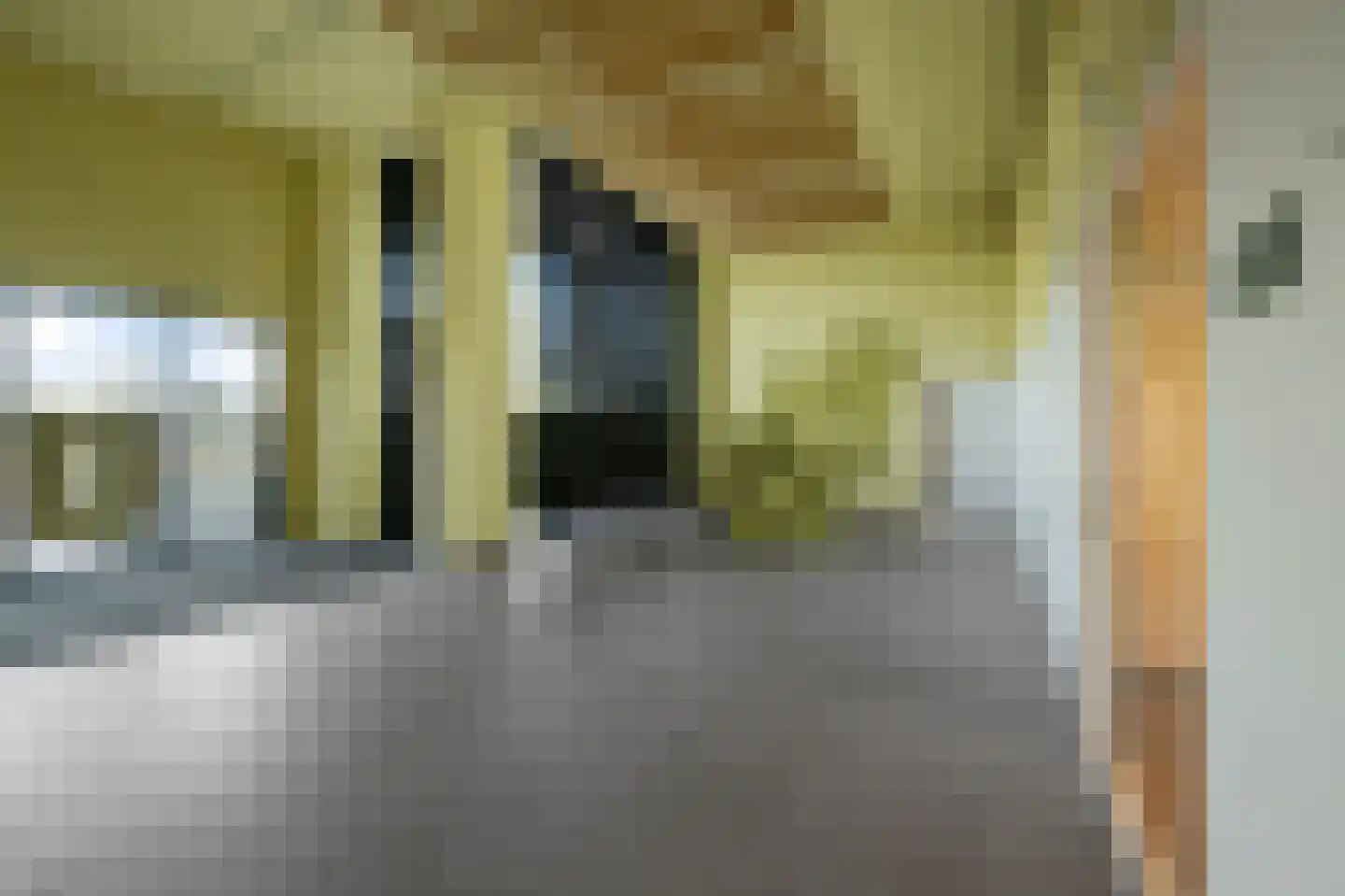 Mahoniehout 436 Zaandam thumbnail 56