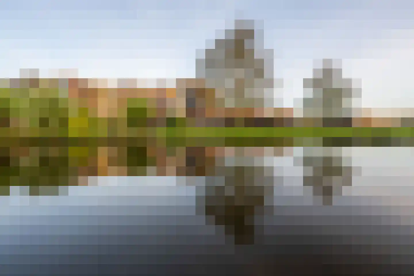 Mahoniehout 436 Zaandam thumbnail 60