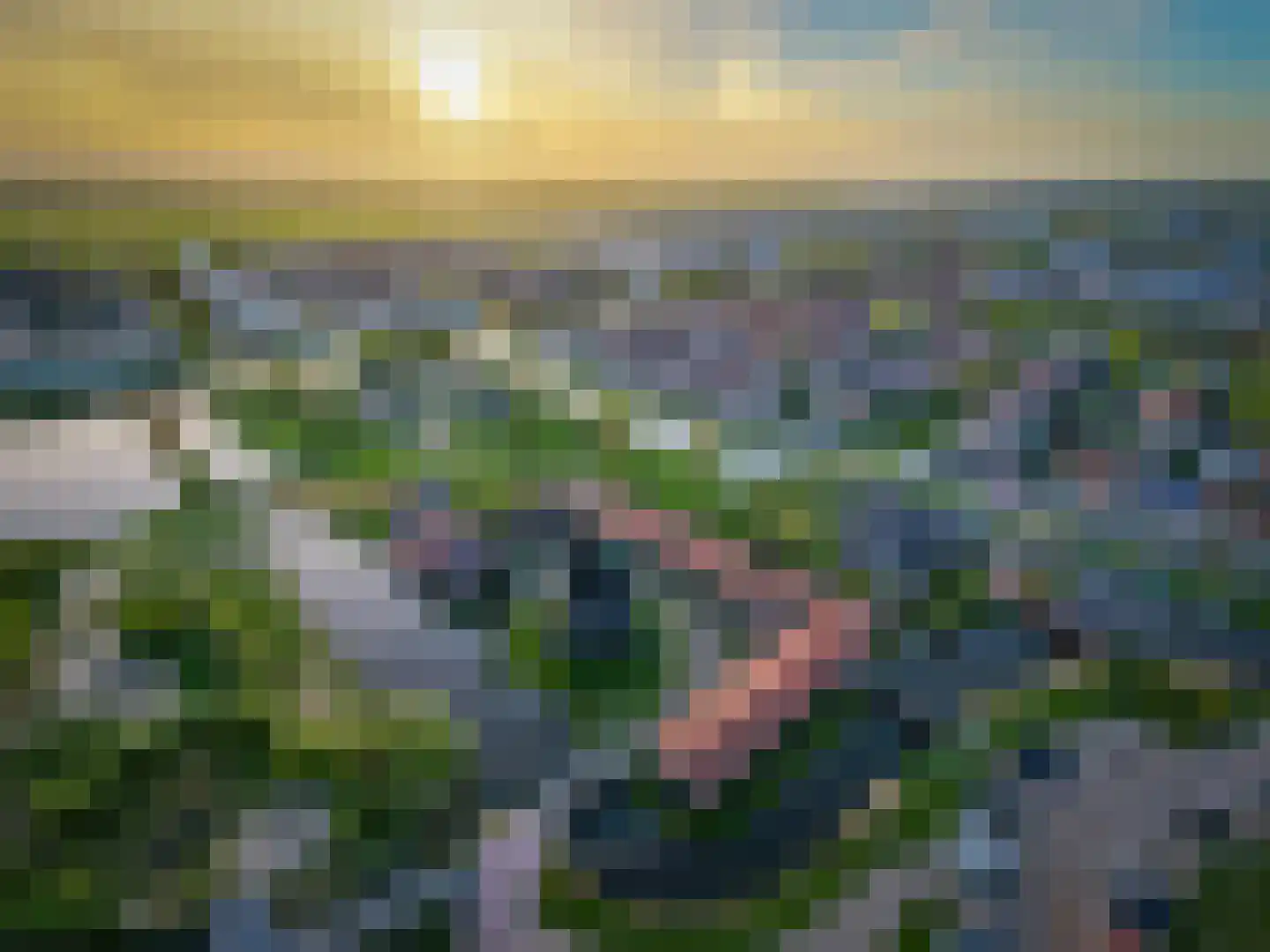 Mahoniehout 436 Zaandam thumbnail 64