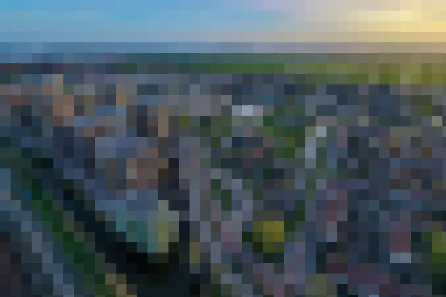 Mahoniehout 436 Zaandam thumbnail 65