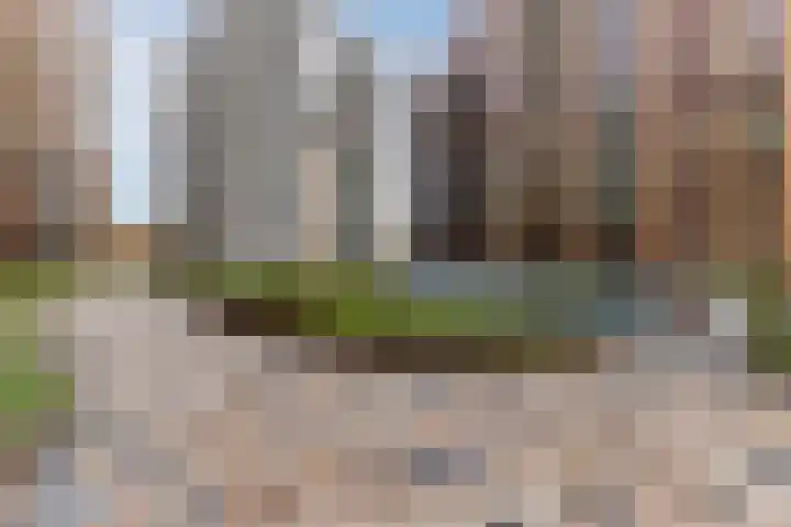 Mahoniehout 441 Zaandam thumbnail 41