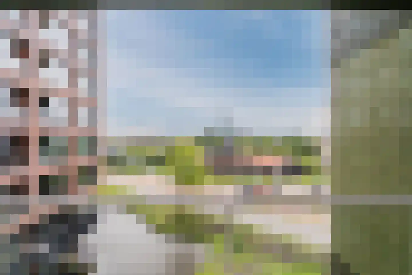 Mahoniehout 462 Zaandam thumbnail 34