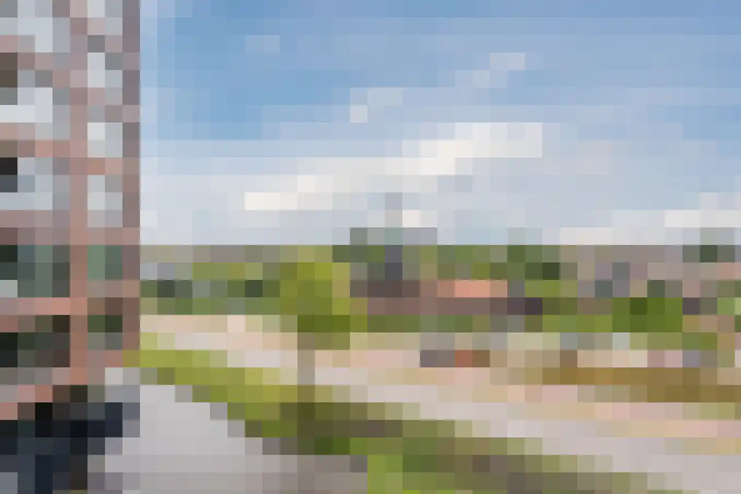 Mahoniehout 462 Zaandam thumbnail 35
