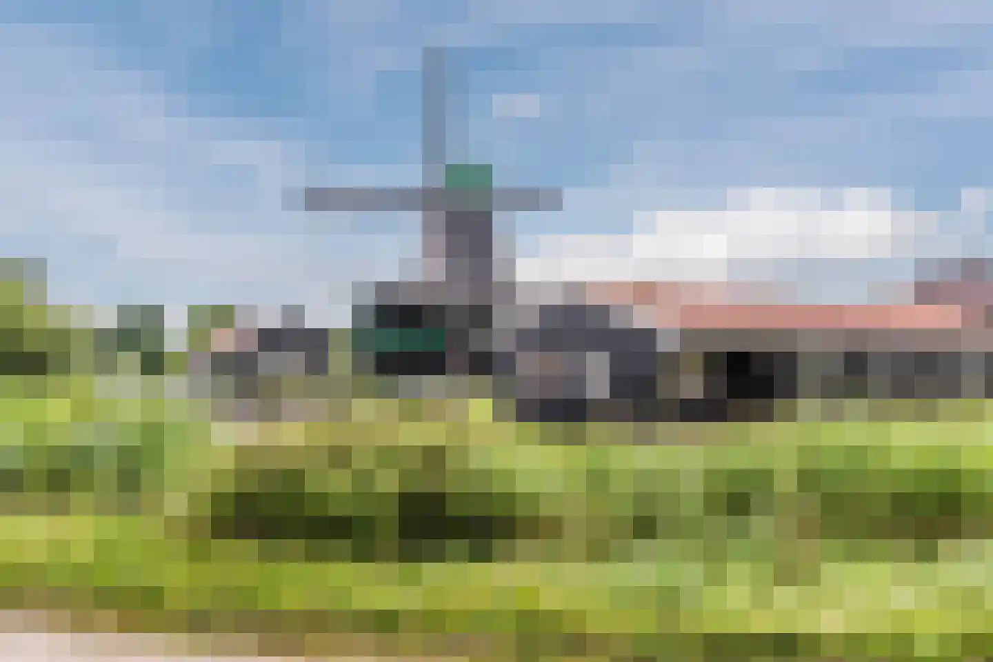 Mahoniehout 462 Zaandam thumbnail 4