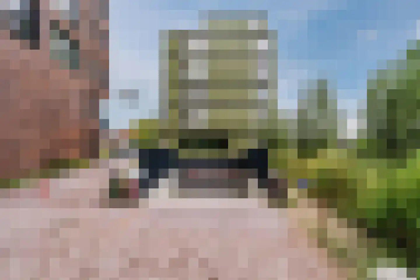 Mahoniehout 462 Zaandam thumbnail 41