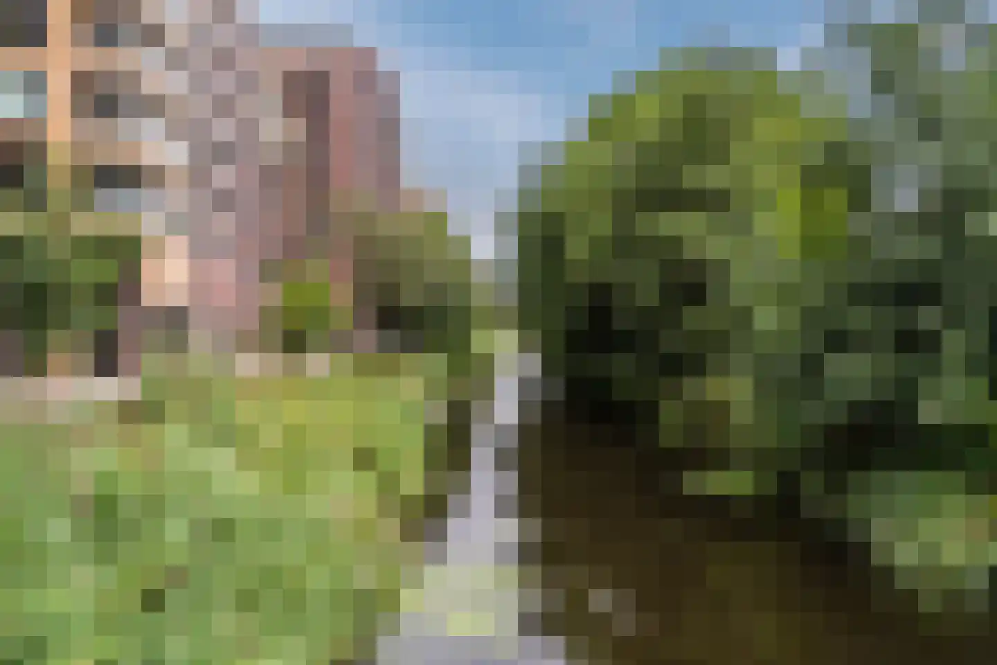 Mahoniehout 462 Zaandam thumbnail 44