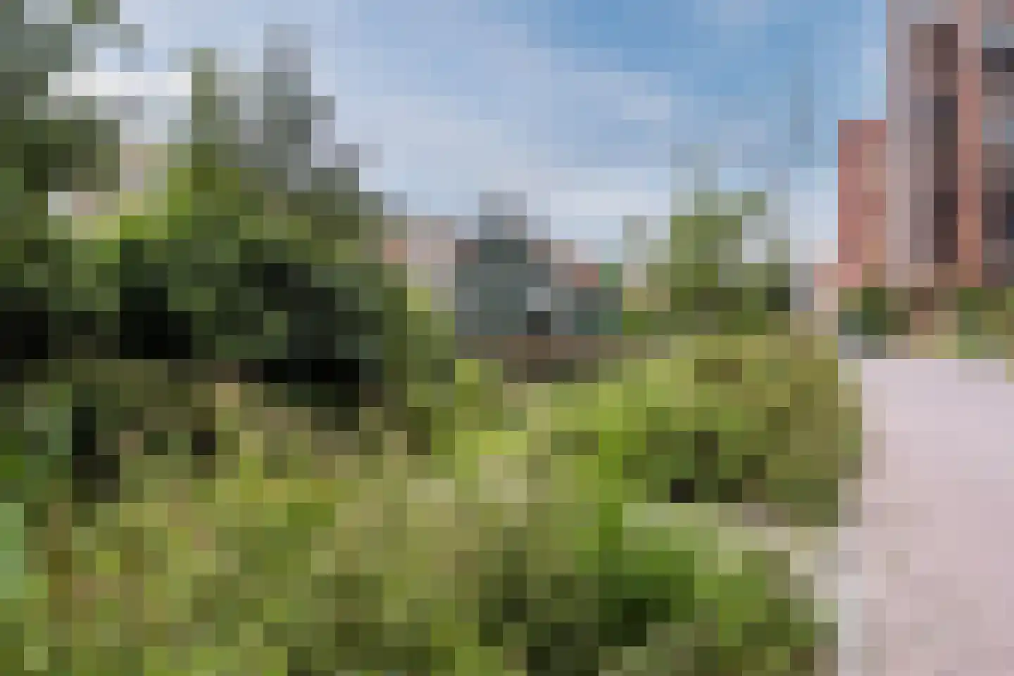 Mahoniehout 462 Zaandam thumbnail 45