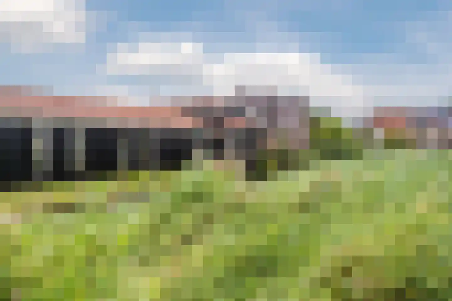 Mahoniehout 462 Zaandam thumbnail 46
