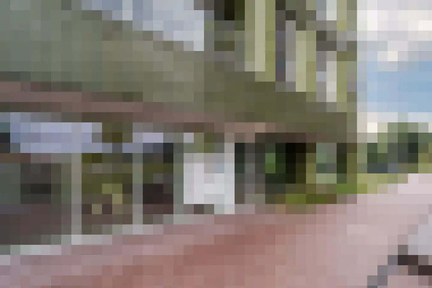 Mahoniehout 462 Zaandam thumbnail 49