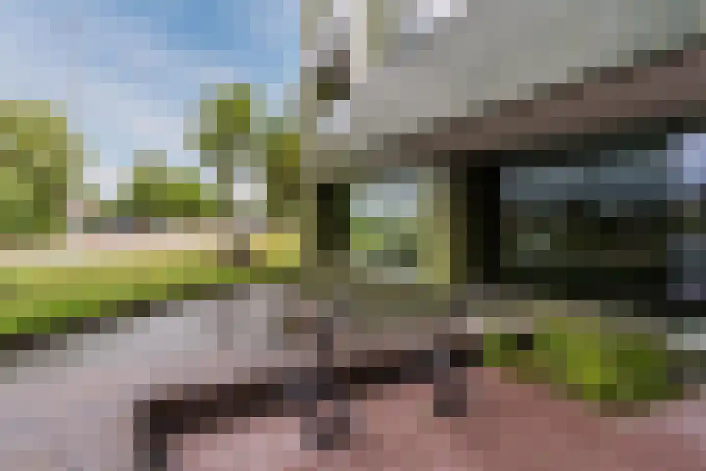 Mahoniehout 462 Zaandam thumbnail 6