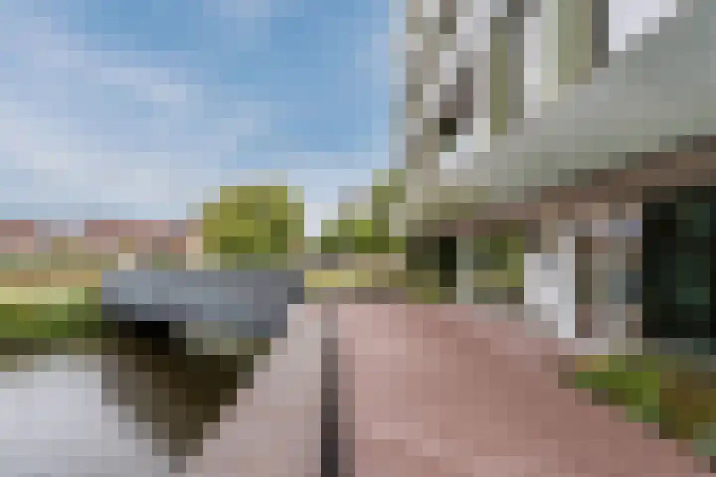 Mahoniehout 462 Zaandam thumbnail 7