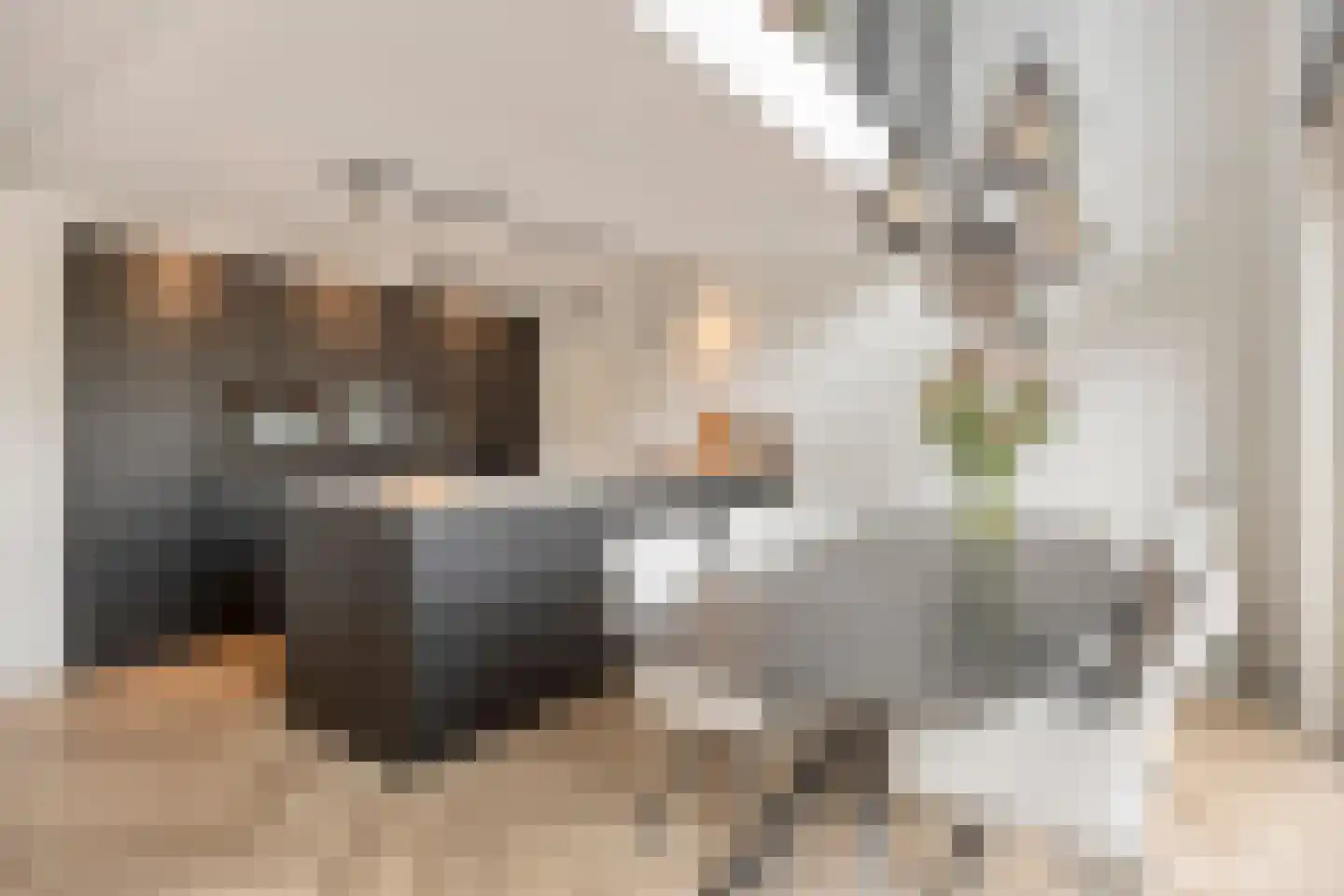 Mahoniehout 8 Zoetermeer thumbnail 11