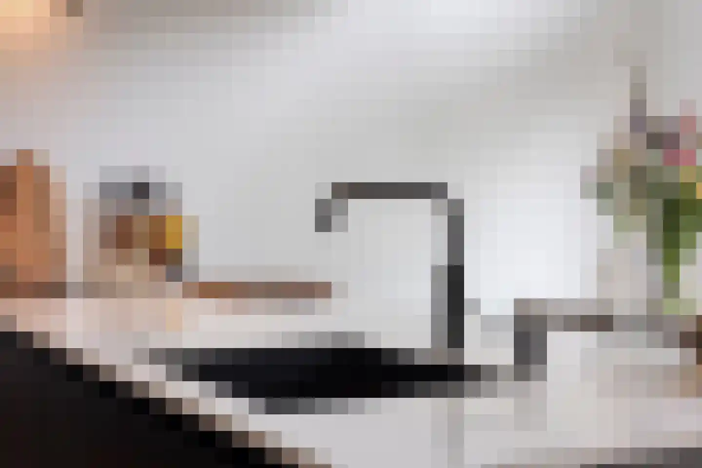 Mahoniehout 8 Zoetermeer thumbnail 13