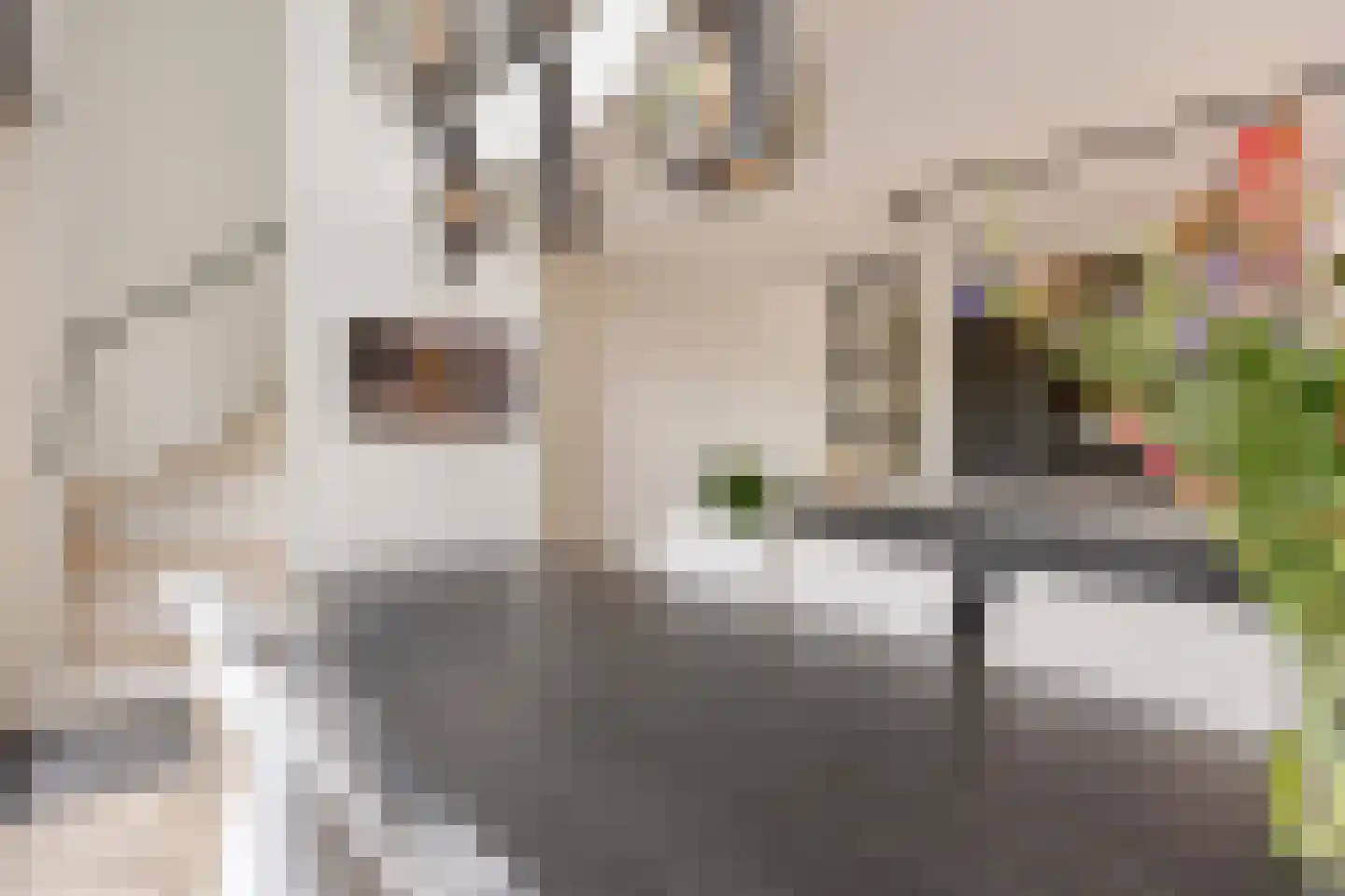 Mahoniehout 8 Zoetermeer thumbnail 14