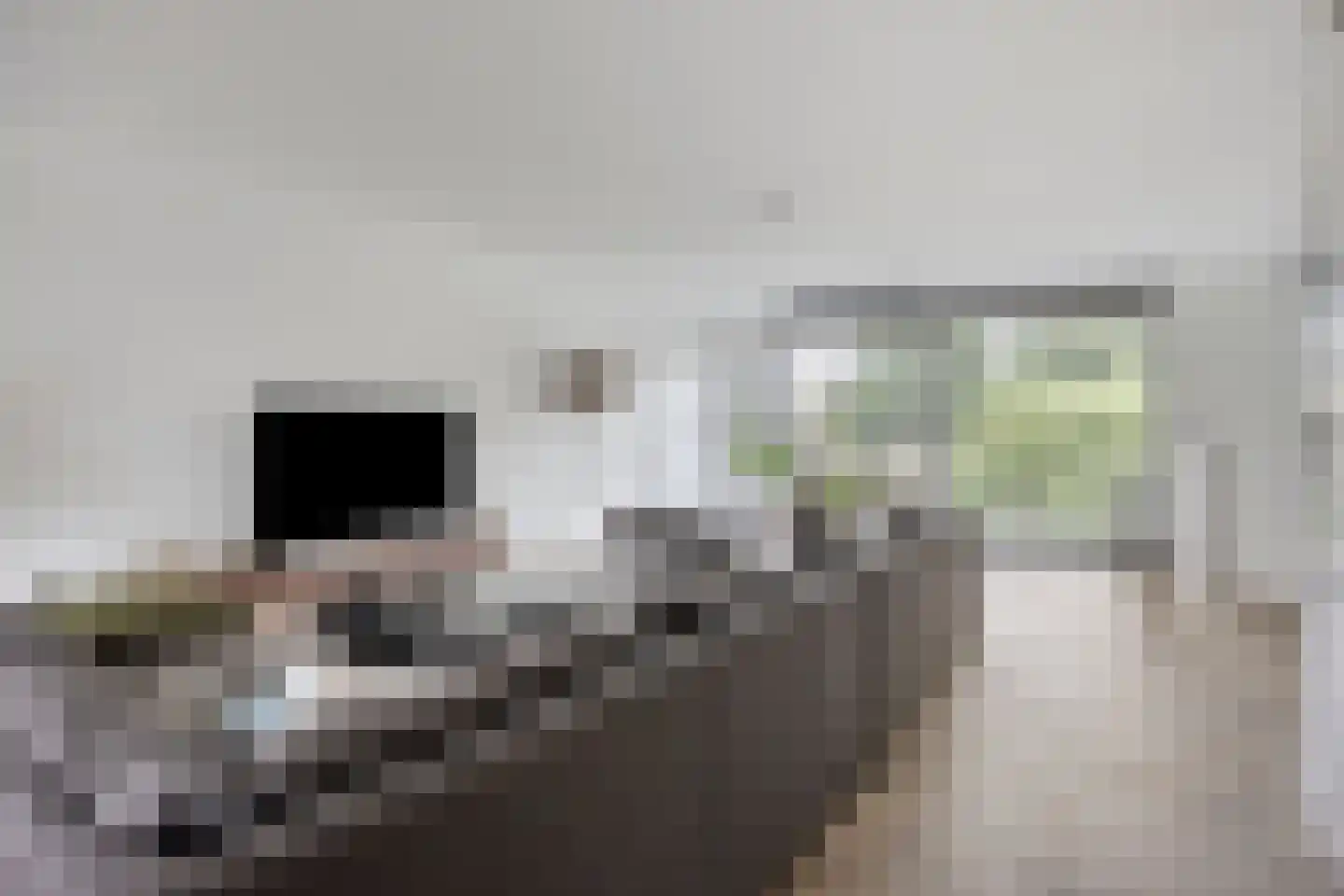 Mahoniehout 8 Zoetermeer thumbnail 17