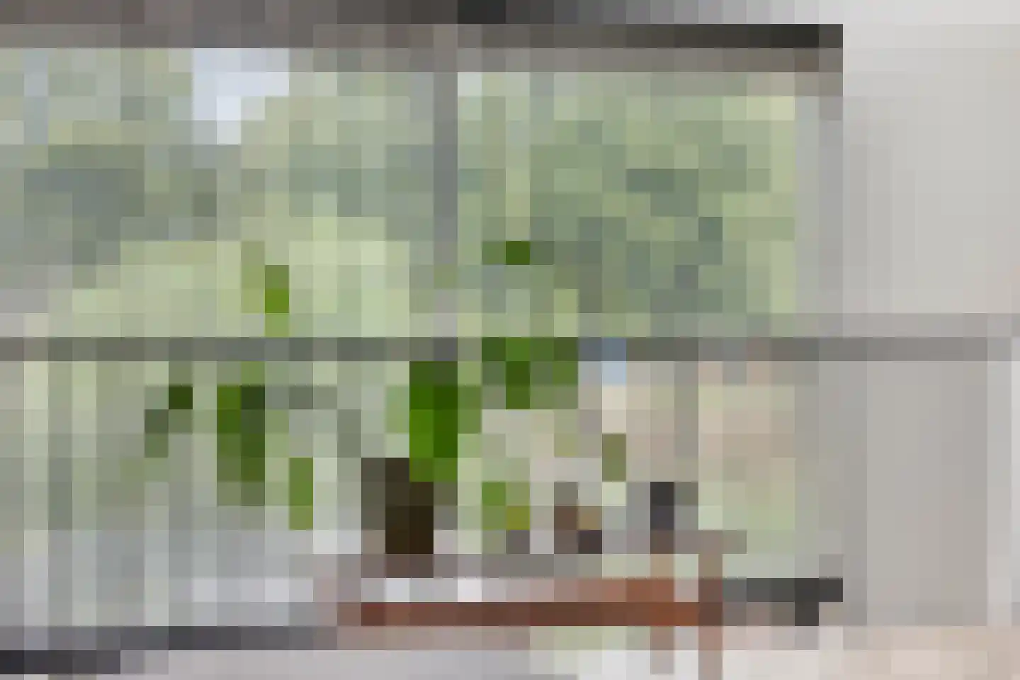 Mahoniehout 8 Zoetermeer thumbnail 19