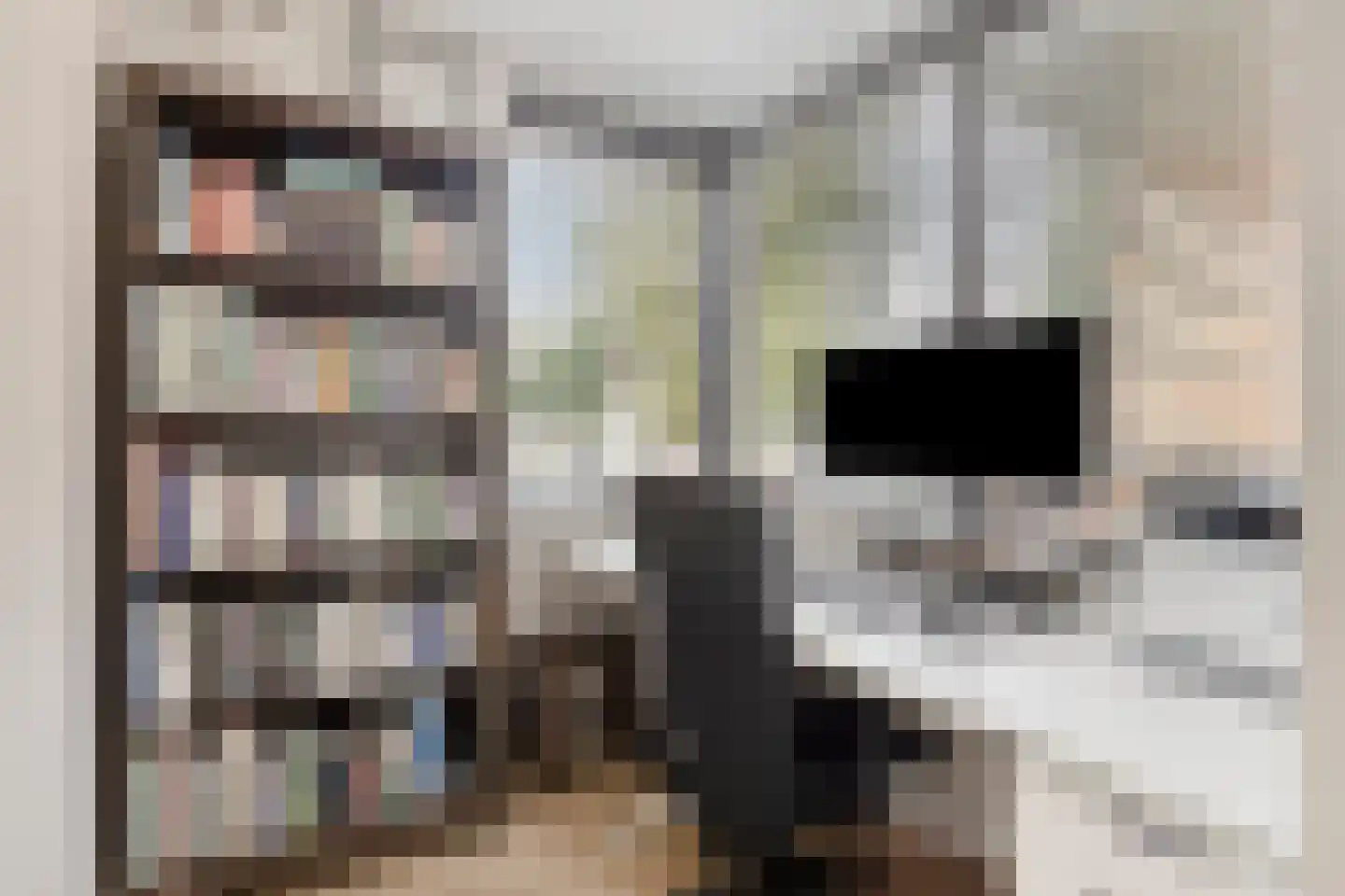 Mahoniehout 8 Zoetermeer thumbnail 23