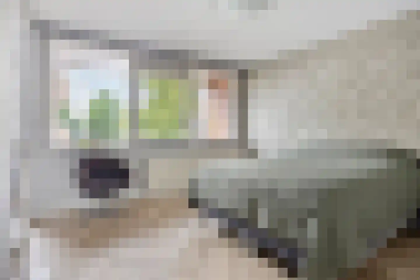 Mahoniehout 8 Zoetermeer thumbnail 27