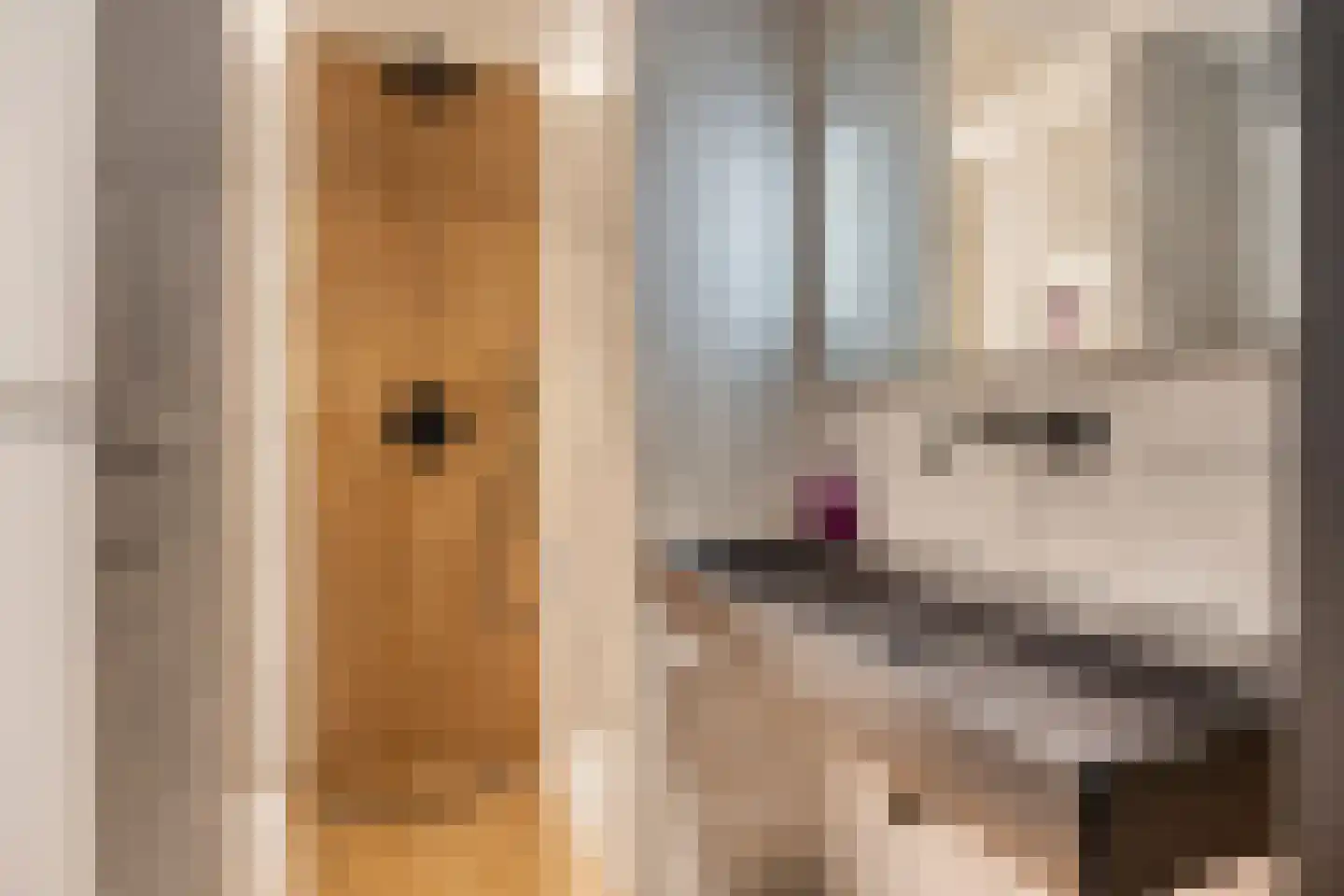 Mahoniehout 8 Zoetermeer thumbnail 37