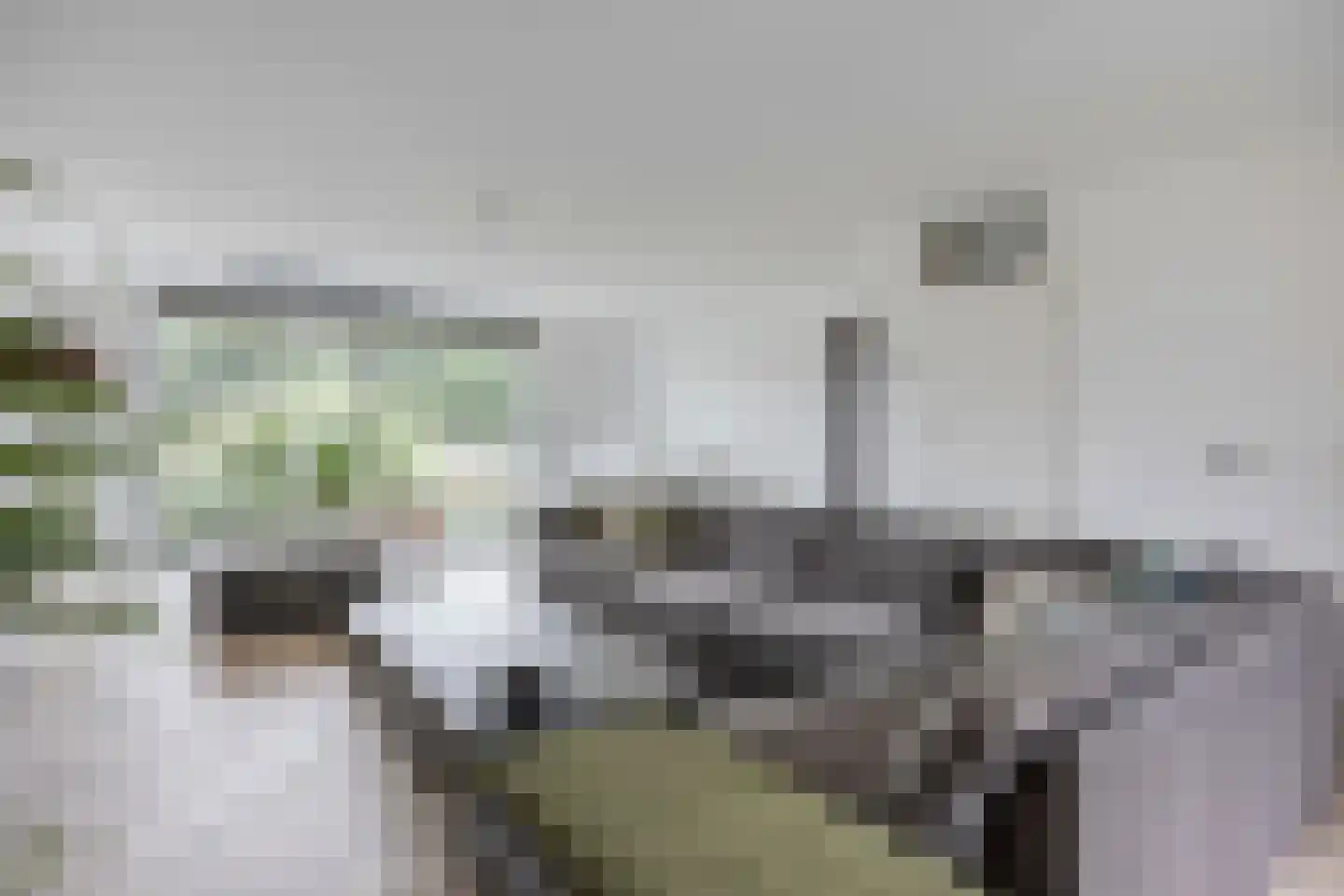 Mahoniehout 8 Zoetermeer thumbnail 4