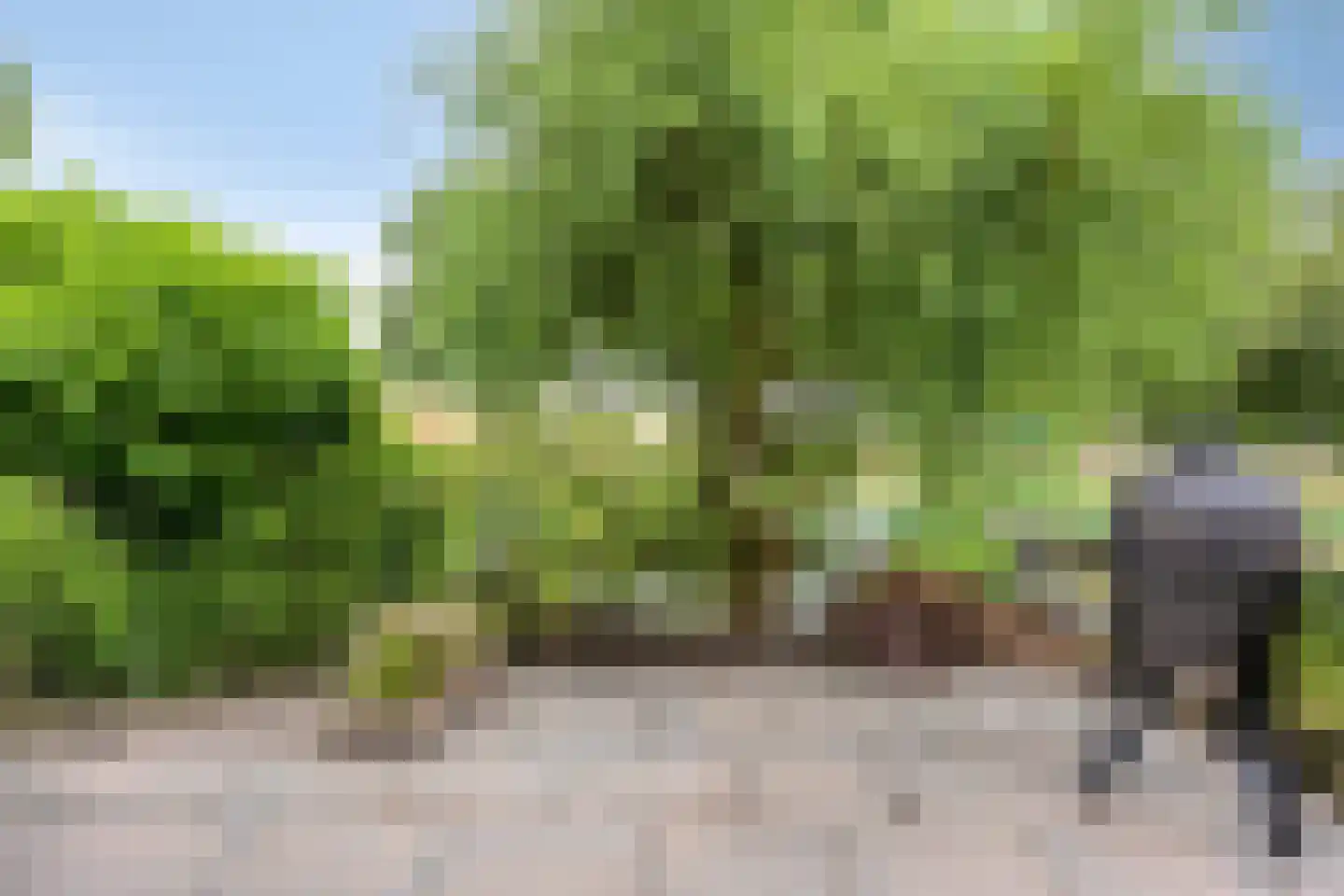 Mahoniehout 8 Zoetermeer thumbnail 41