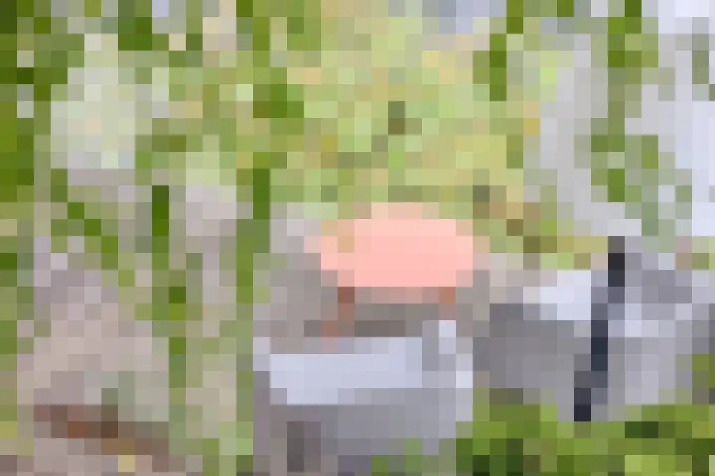 Mahoniehout 8 Zoetermeer thumbnail 43