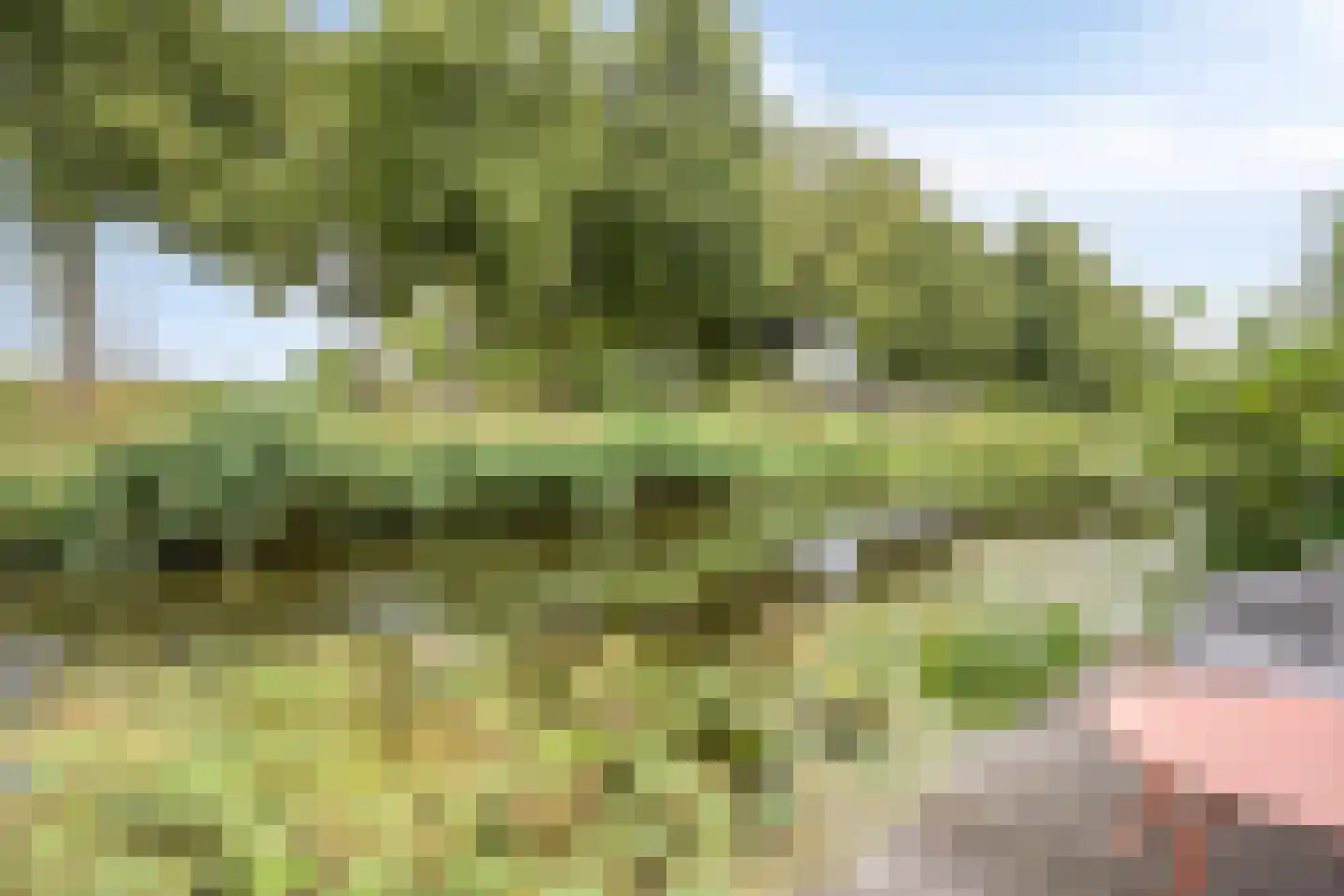 Mahoniehout 8 Zoetermeer thumbnail 44