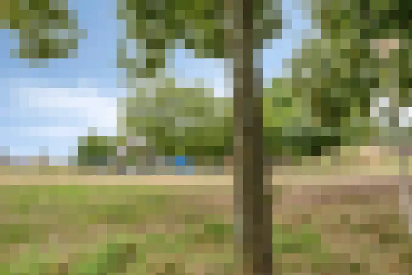 Mahoniehout 8 Zoetermeer thumbnail 46