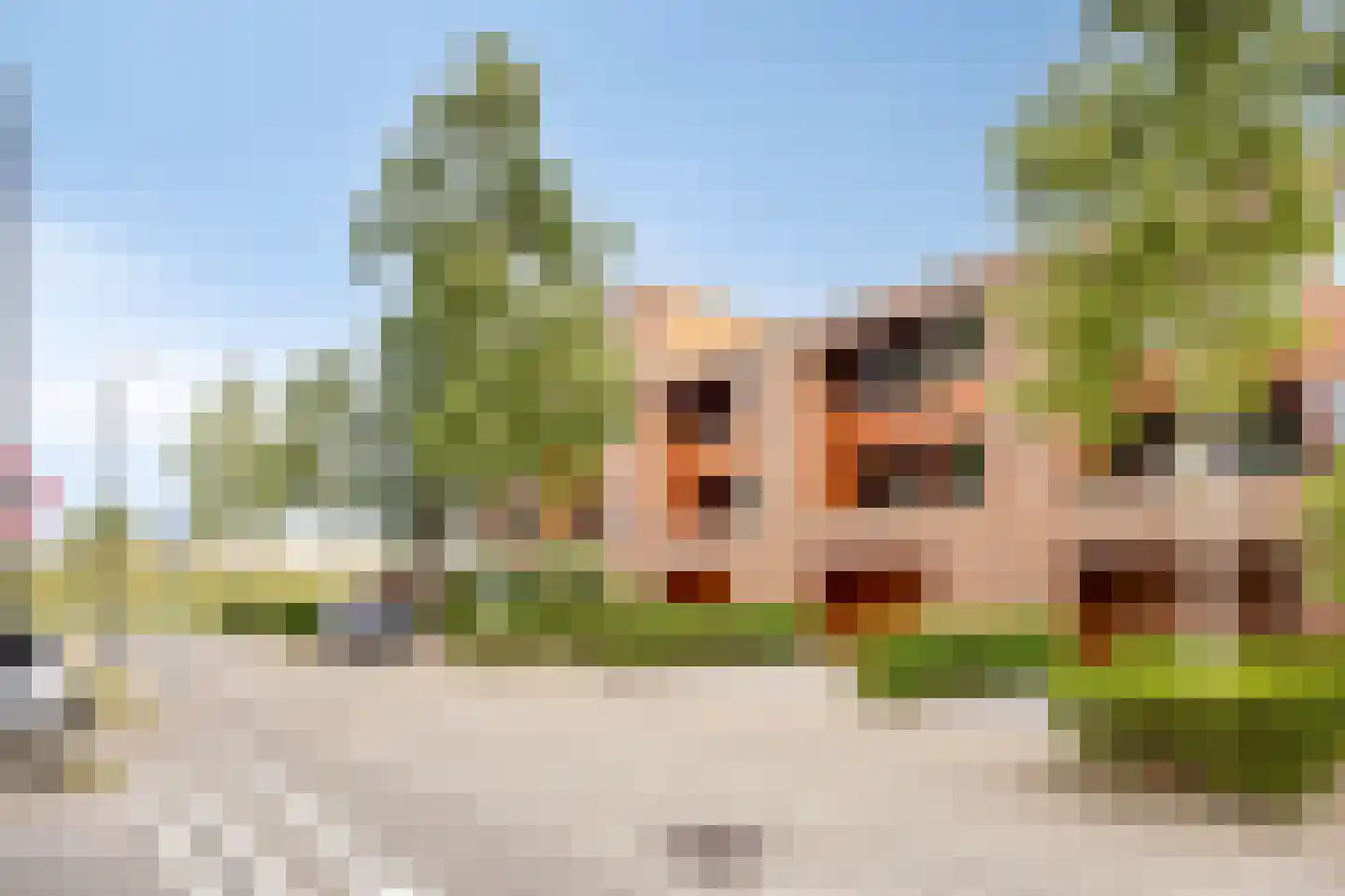 Mahoniehout 8 Zoetermeer thumbnail 6