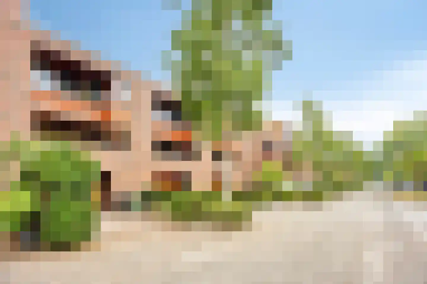 Mahoniehout 8 Zoetermeer thumbnail 7