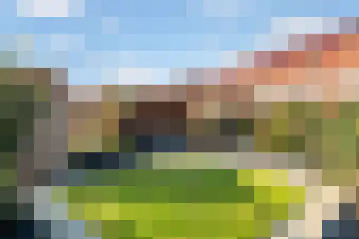 Mahoniehout 80 Waddinxveen thumbnail 16