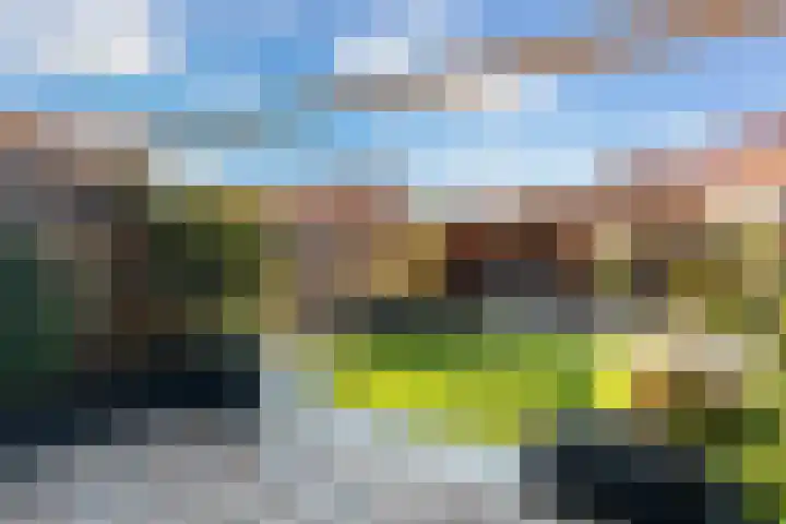 Mahoniehout 80 Waddinxveen thumbnail 17