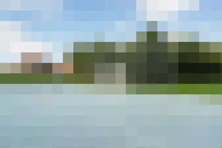 Mahoniehout 80 Waddinxveen thumbnail 37
