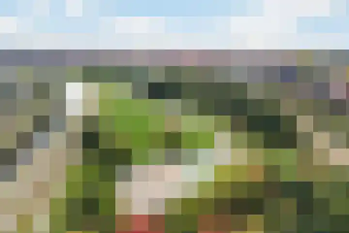 Mahoniehout 80 Waddinxveen thumbnail 39