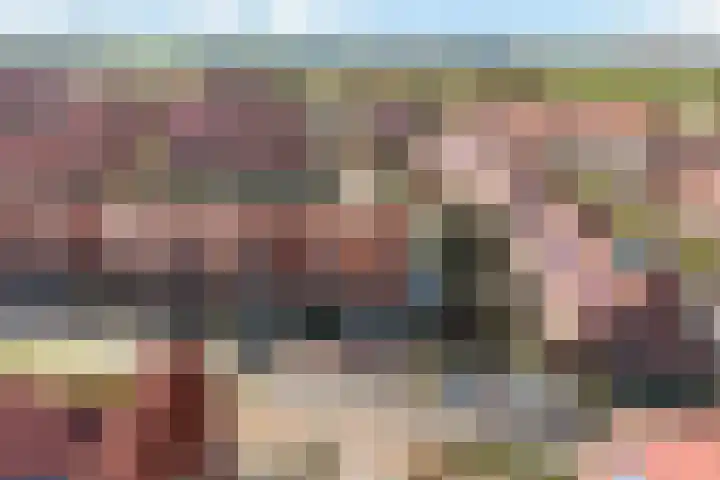 Mahoniehout 80 Waddinxveen thumbnail 45