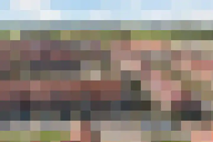 Mahoniehout 80 Waddinxveen thumbnail 46