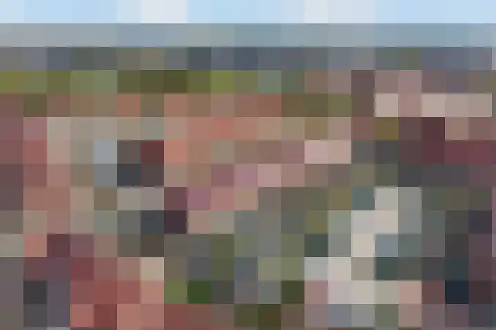 Mahoniehout 80 Waddinxveen thumbnail 48
