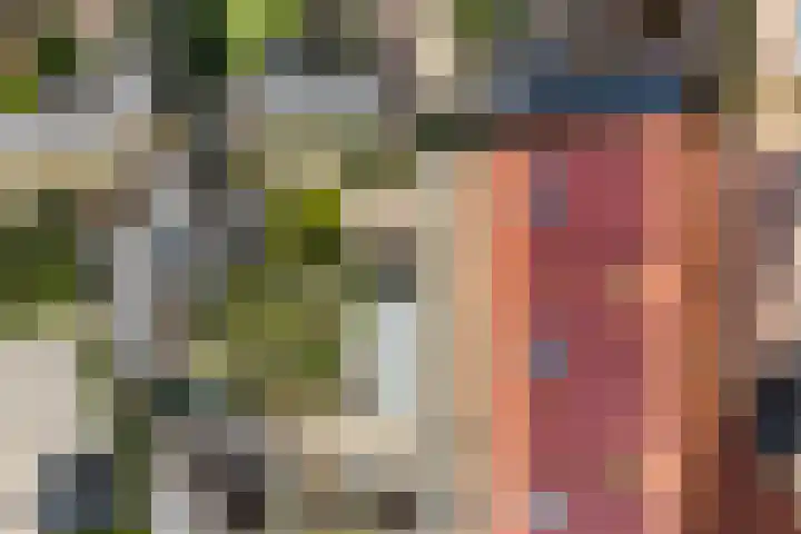Mahoniehout 80 Waddinxveen thumbnail 49