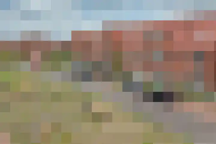 Mahoniehout 85 Waddinxveen thumbnail 26
