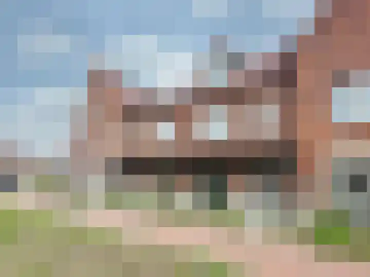 Mahoniehout 85 Waddinxveen thumbnail 27