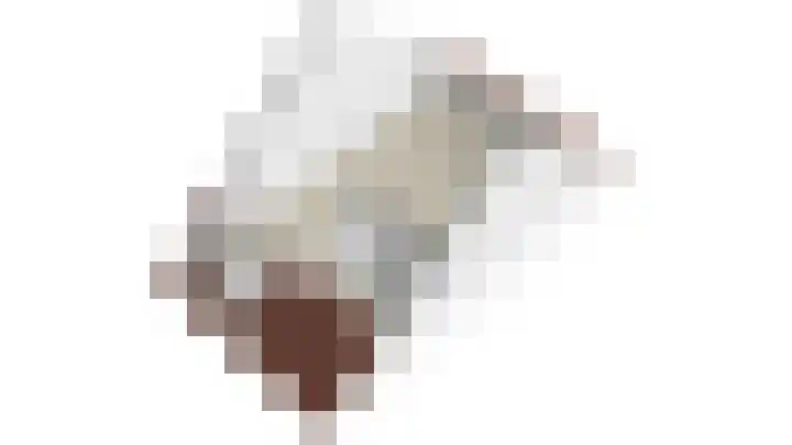 Mahoniehout 85 Waddinxveen thumbnail 33