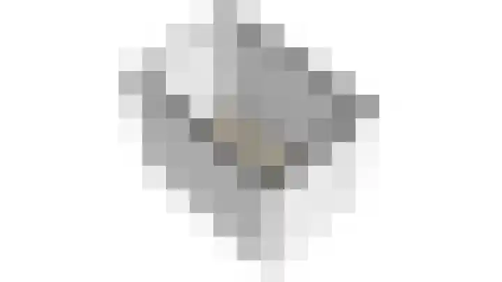 Mahoniehout 85 Waddinxveen thumbnail 35