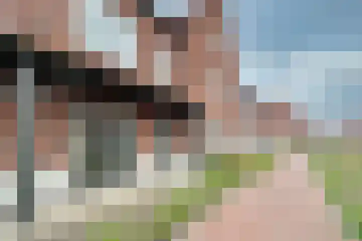 Mahoniehout 85 Waddinxveen thumbnail 4