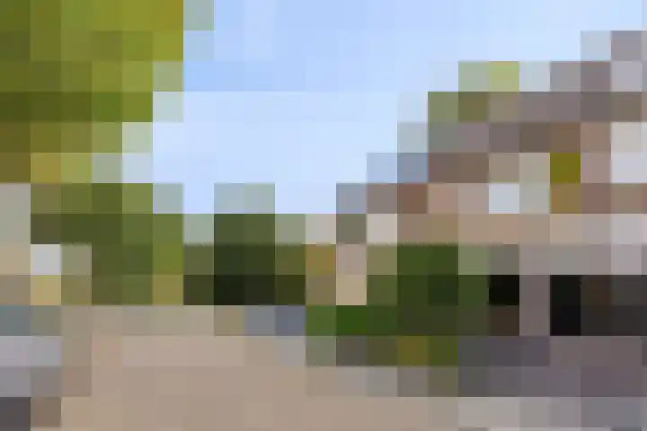 Mahoniehoutstraat 43 Helmond thumbnail 8