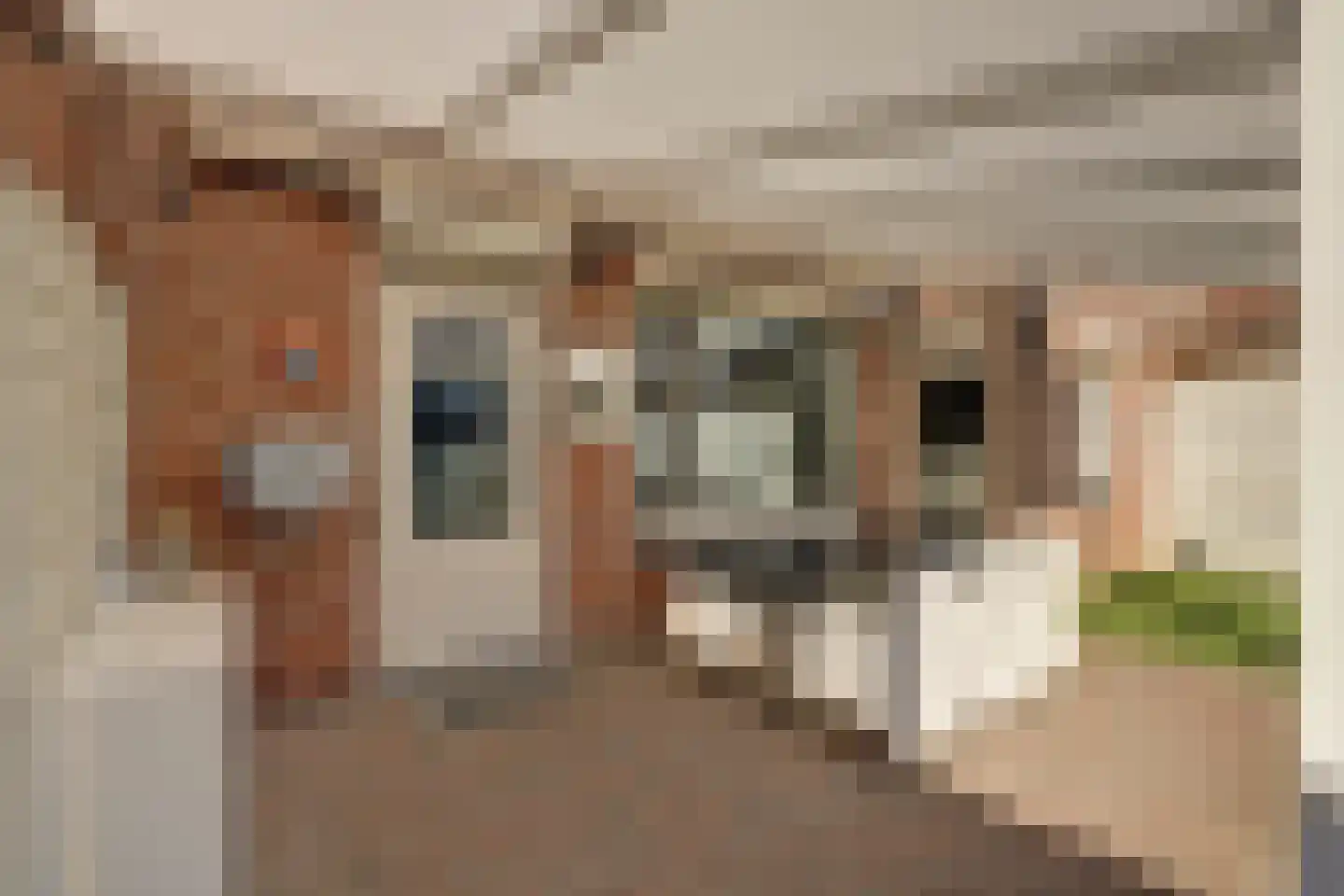 Mahoniestraat 11 Venlo thumbnail 23